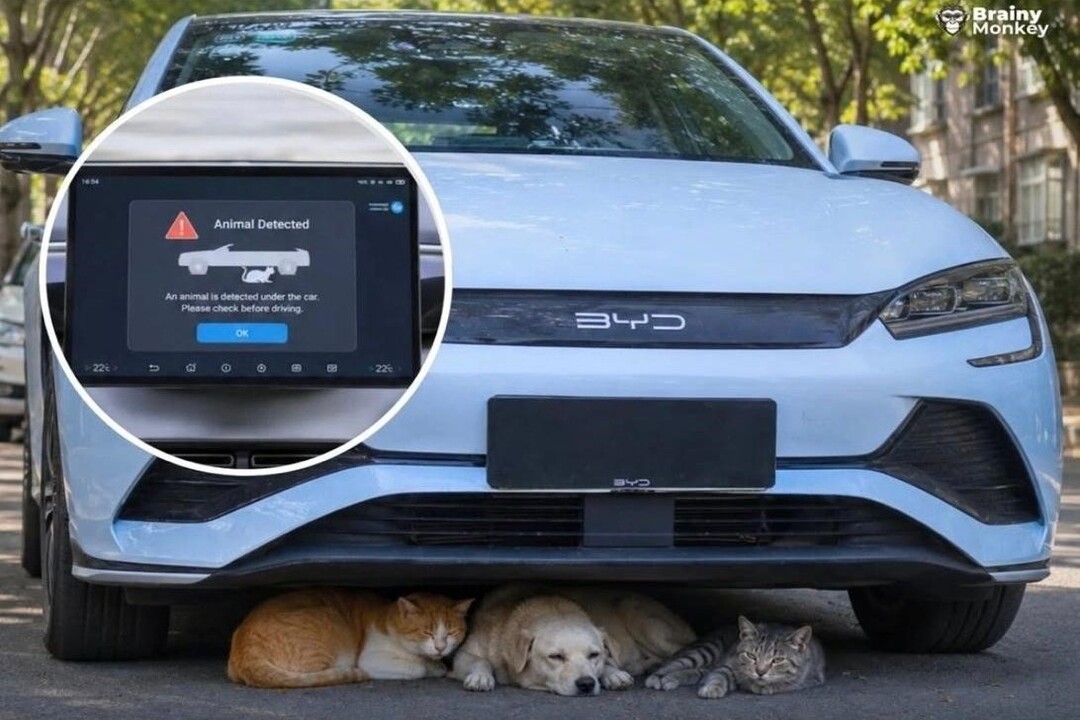 BYD’s New Patented Technology Could Save Animals Hiding Under Your Car